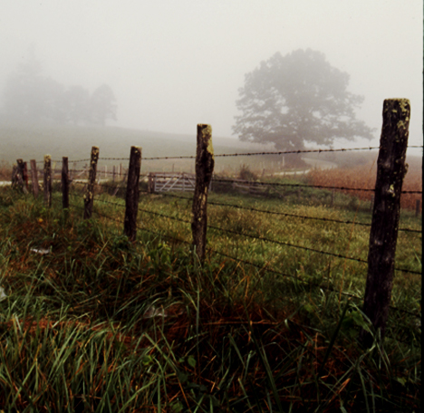 Lifting Fog