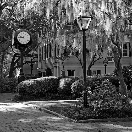 Clock and Spanish Moss