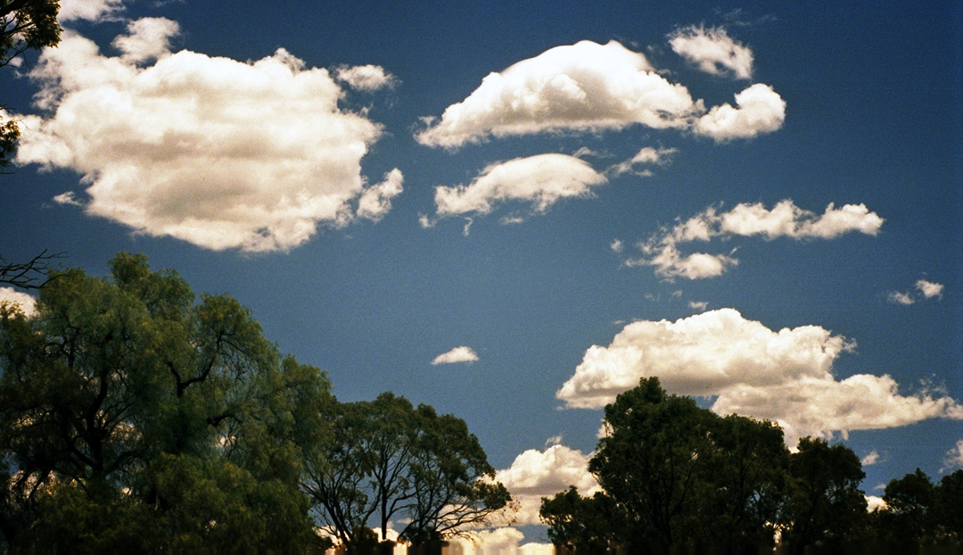 Summers Day