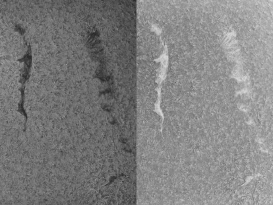 Filaments 1 August 2010