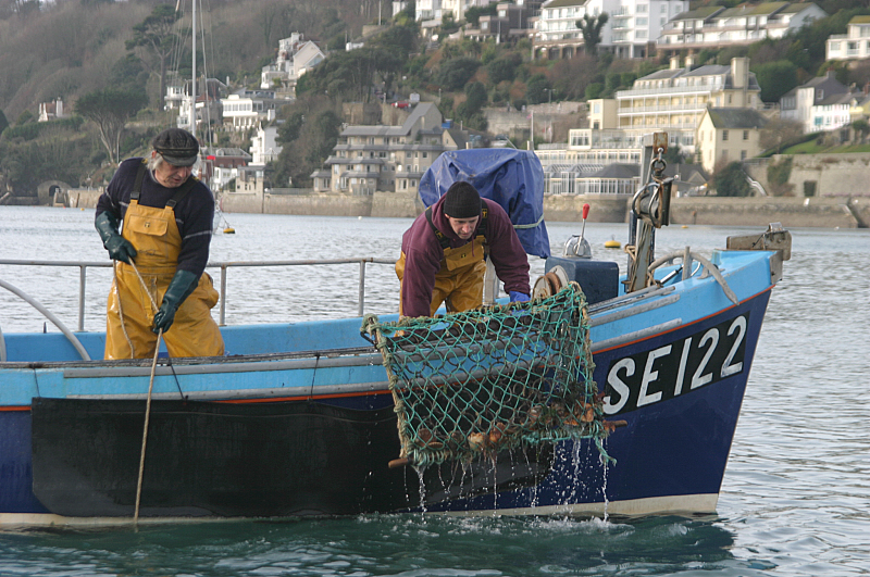 Salcombe Boats