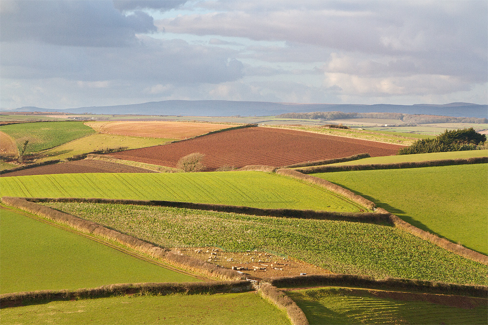 Week 09 - Distant Dartmoor.jpg