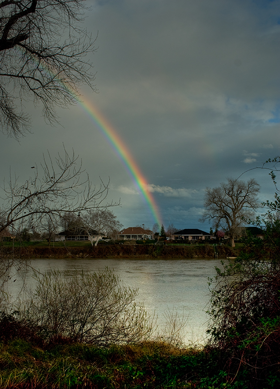 Rainbow - Sacramento River