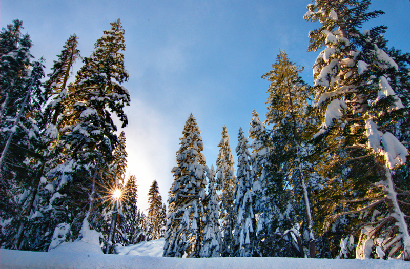 Lassen Winter