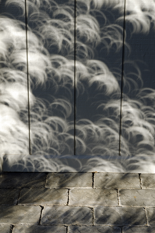 _DSC9902 eclipse shadows.jpg