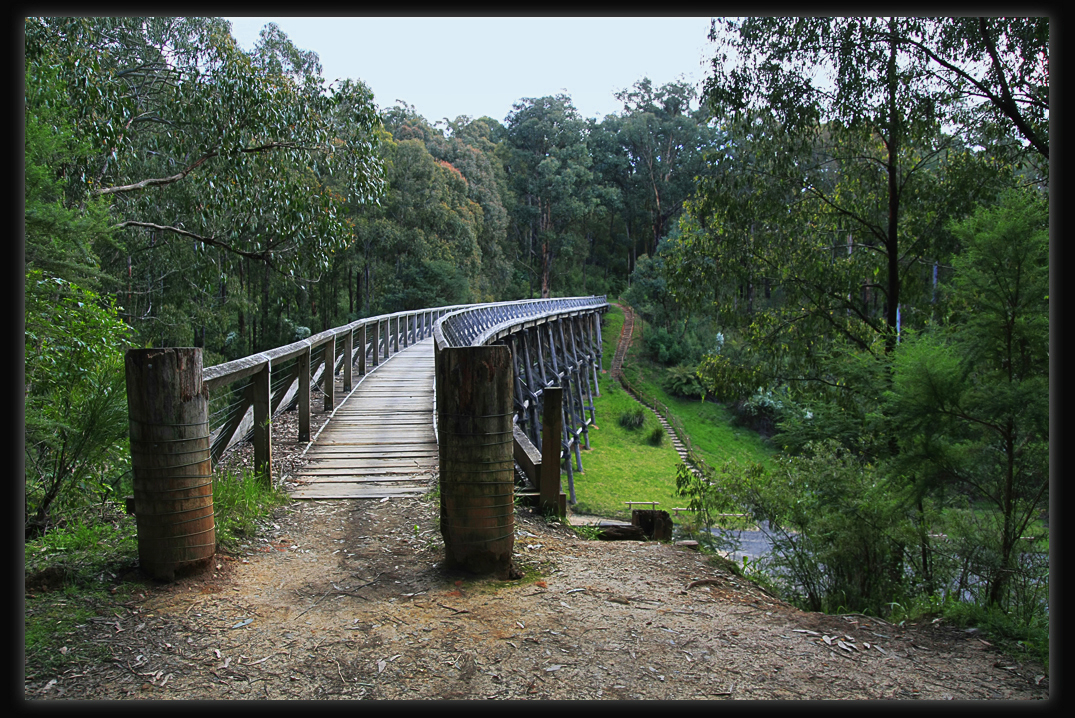 Noojee Trestle Bridge