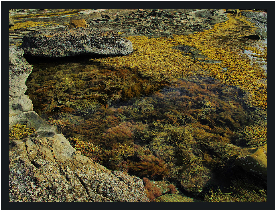 Rock pool on Eagles Nest rock platform