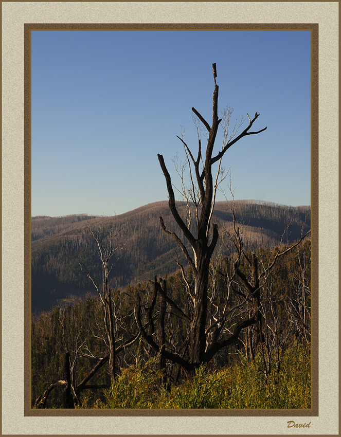  Keppel Lookout 