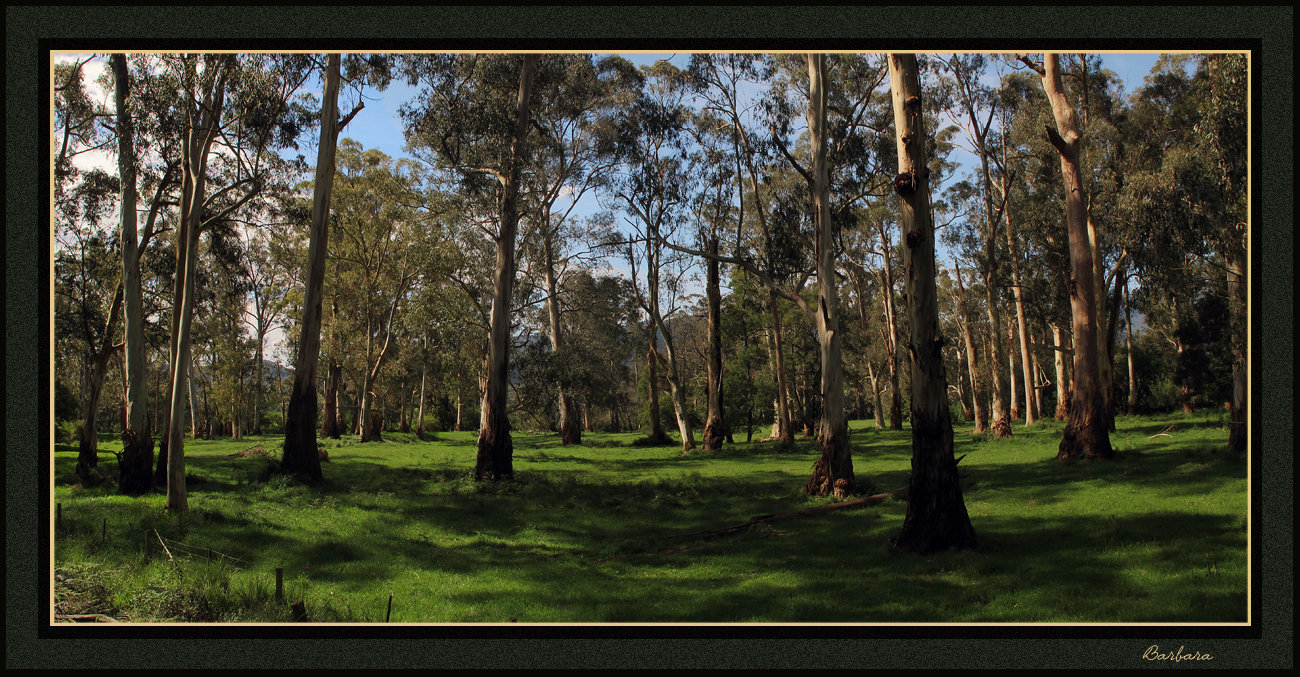 A view from the trail at Launching Place