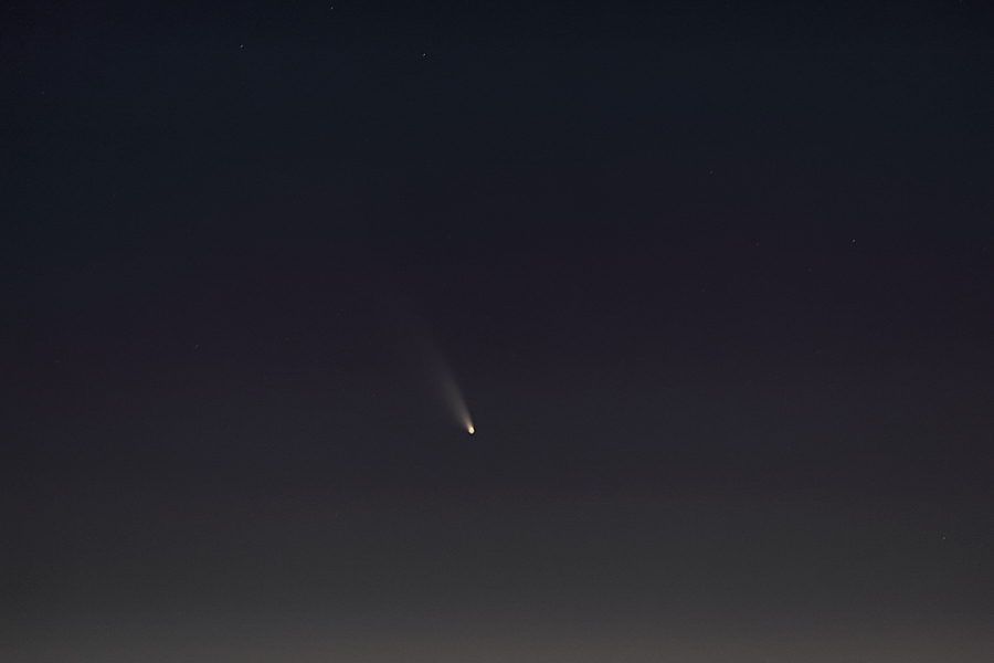 Comet Panstarrs in our southern skies