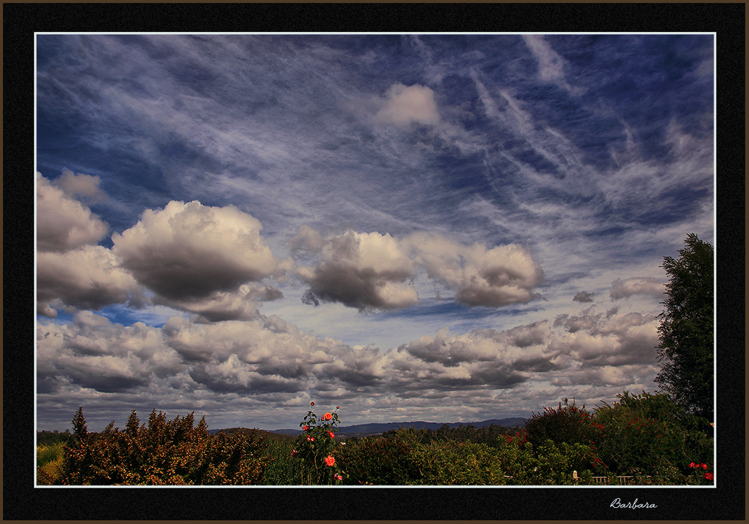 Cloud Formation from our garden