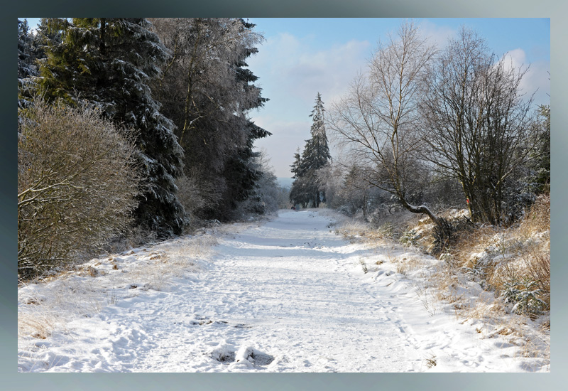 winter Baraque Michel Polleur