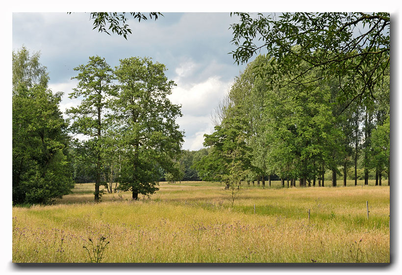 vallei van de Zwarte Beek Koersel