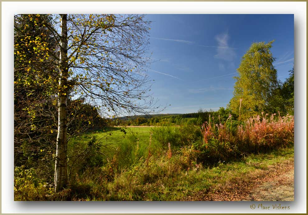 Herfst - Falle - Automne