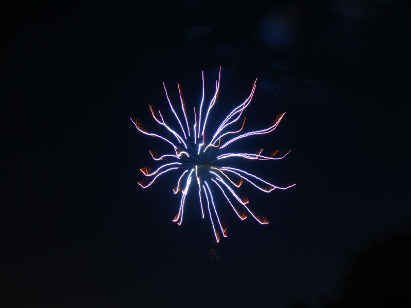 DSC01023 Medium.JPG