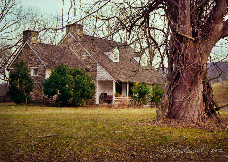 Hunting Hill and Tree