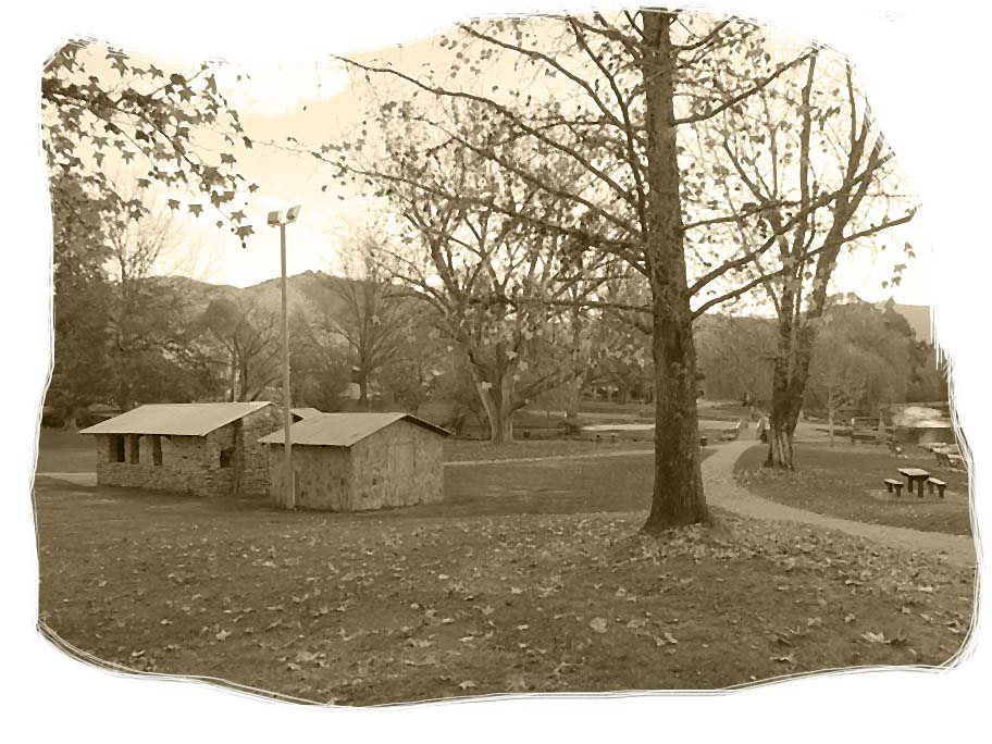 Shelter shed in a park - 28