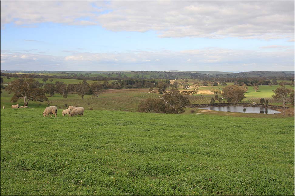 Another view from the Lookout