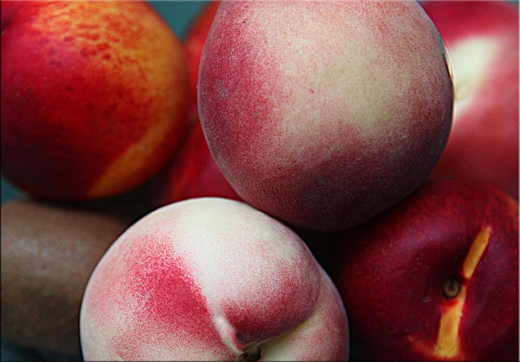 Peaches & Nectarines