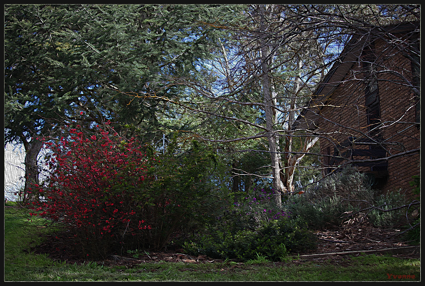 Our winter garden