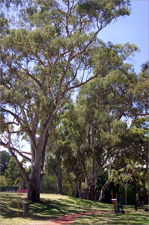 Historic walkway