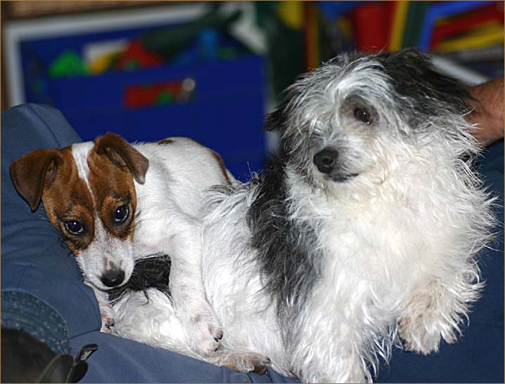 Sharing a lap after the bath