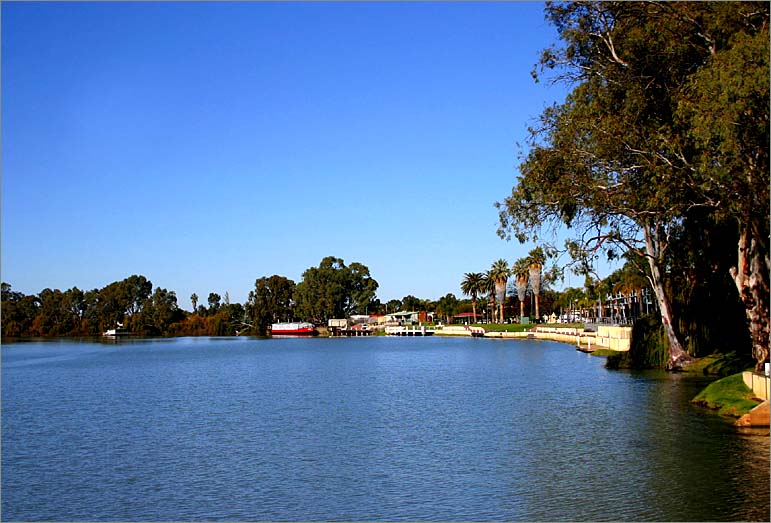 On the river banks of the Murray