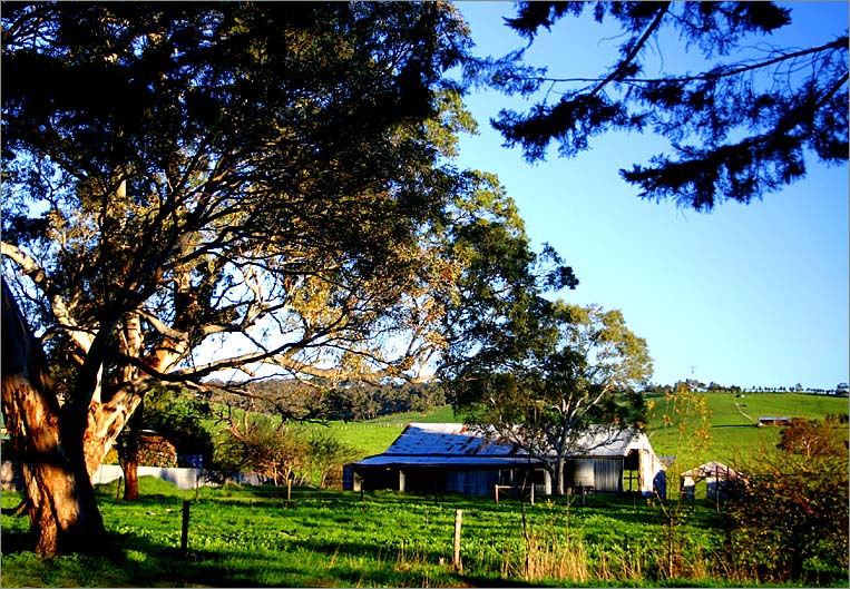 An old derelict dairy in the late afternoon sunlight