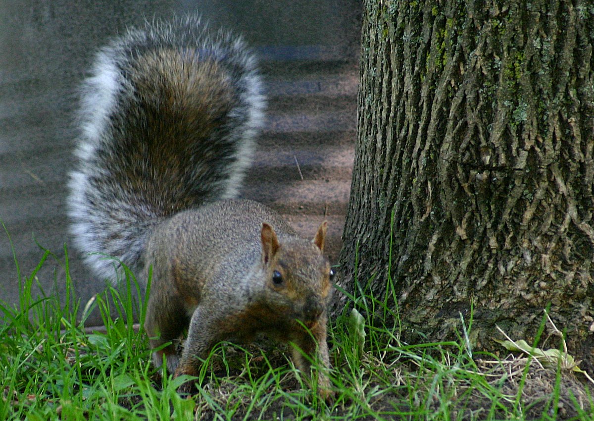 Img_0083.jpg