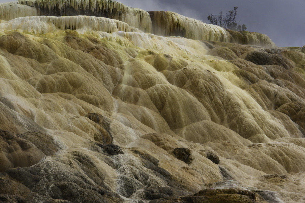 Mammoth Hot Springs - Yellowstone Park 4