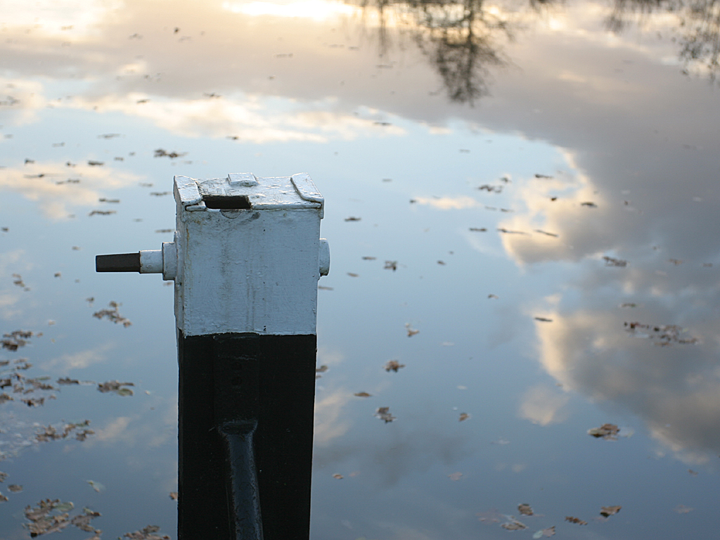 At Coxes Lock