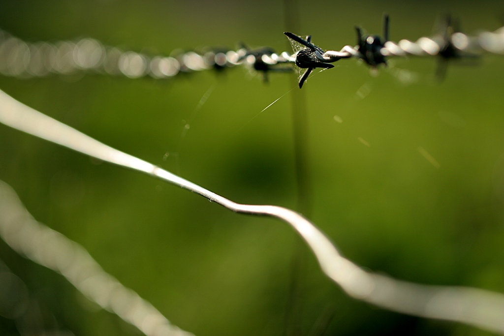 Wire