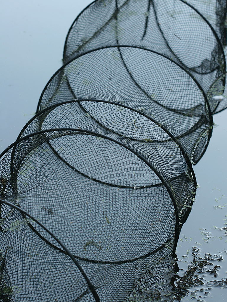 Net