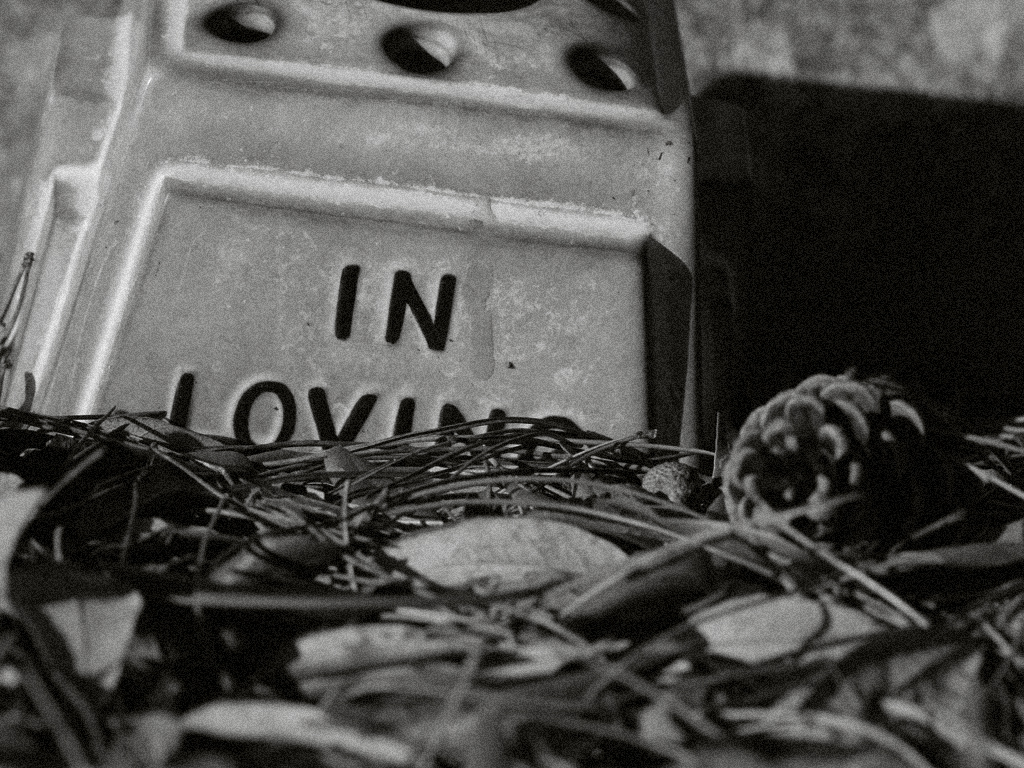 July 30 2007: <br> In Loving