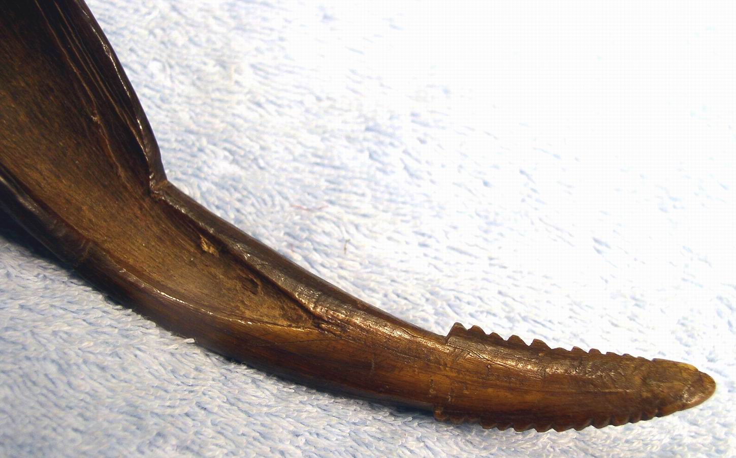 Detail:  Ornamentation of Ladle Handle - Not Unlike Rattlesnake Rattle