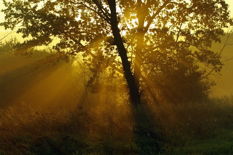 Czarnw, jesień 2010