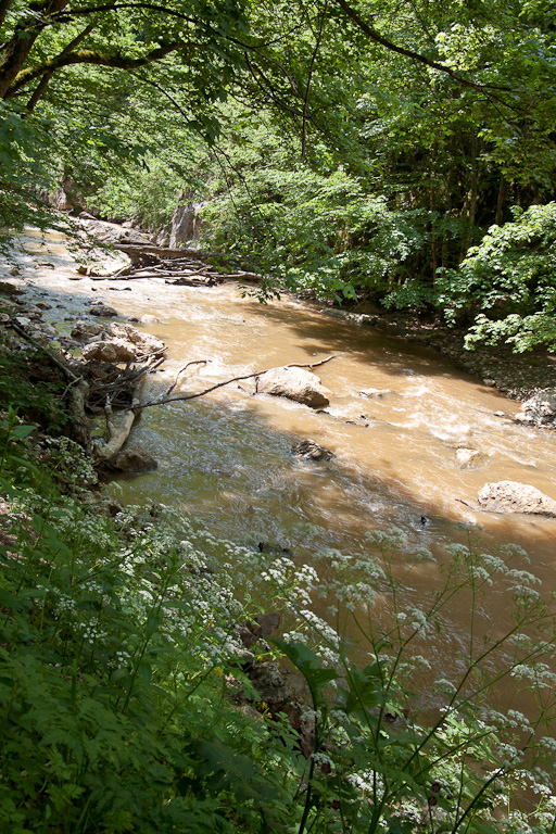 FS450D1_4548_768.jpg