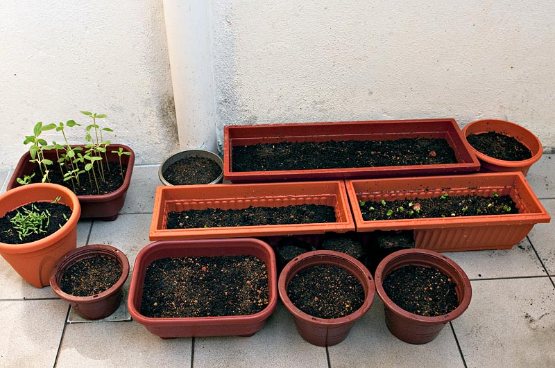 Pots