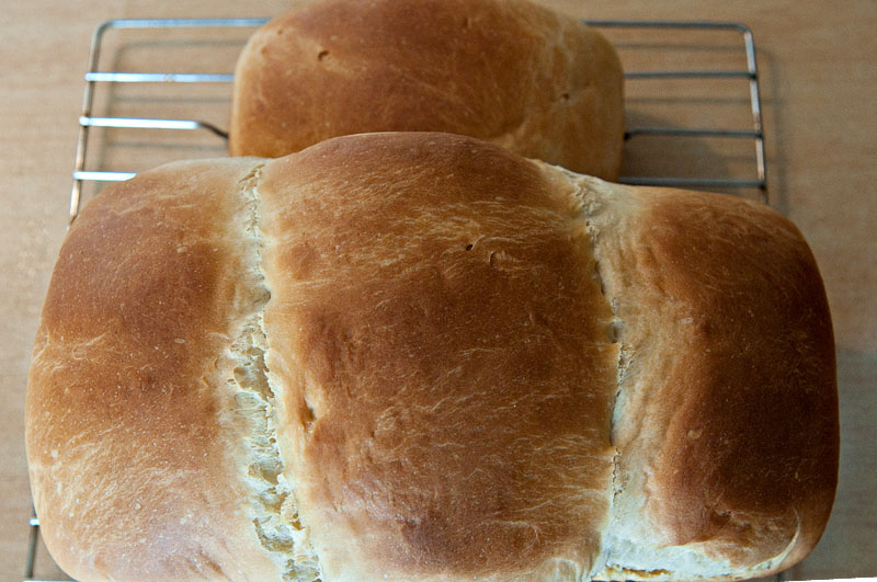 Hokkaido Milky Loaf II