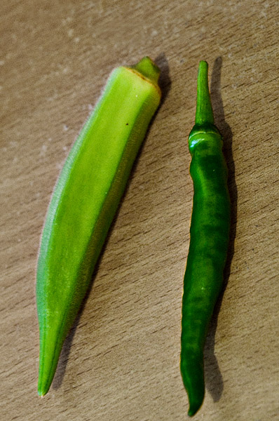 Fruits of my labour