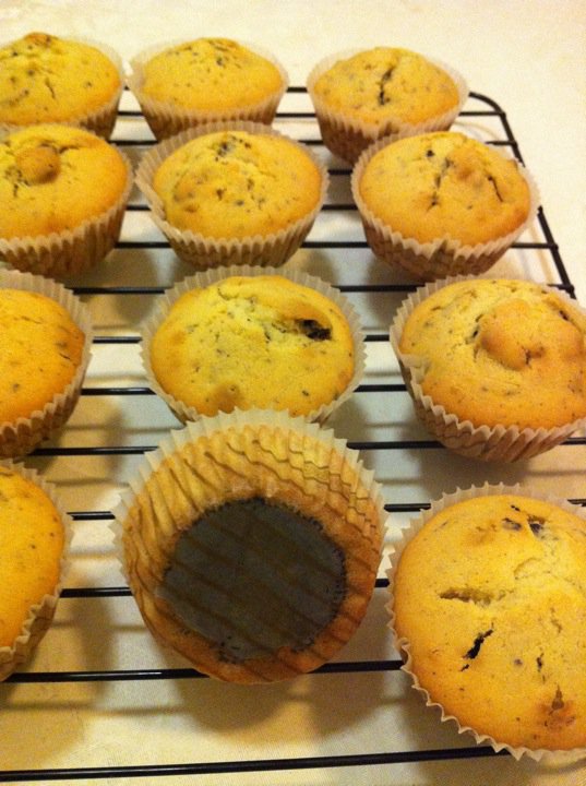 Oreo Cupcakes