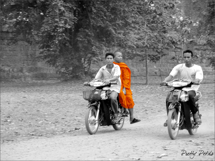 Monk Riding On A Bike