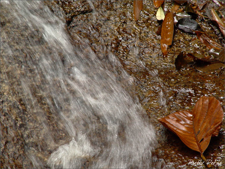 Flowing Waterfall