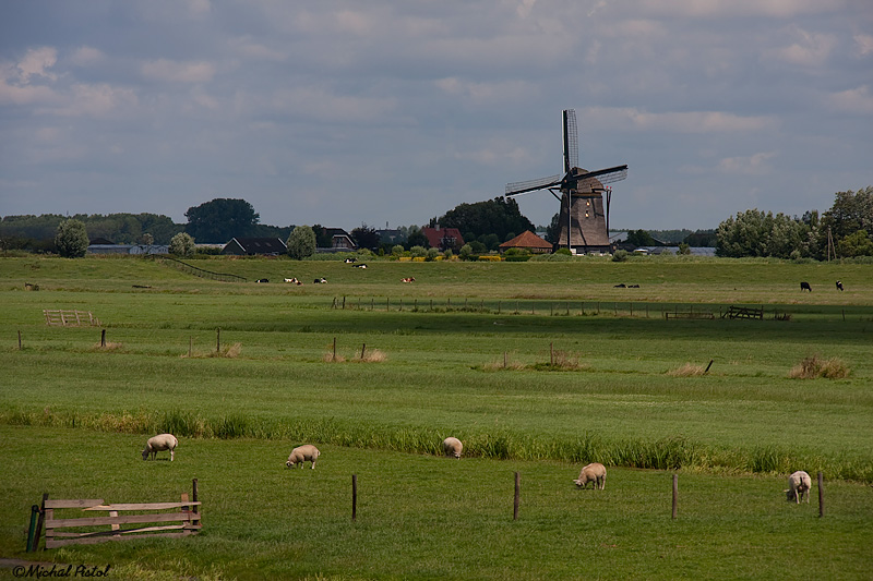 Holland 2009-0668.jpg