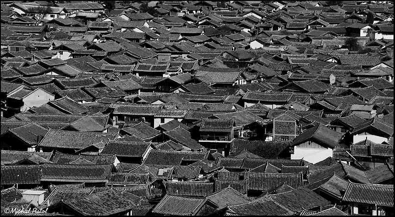 China 7D IMG_5155bw.jpg