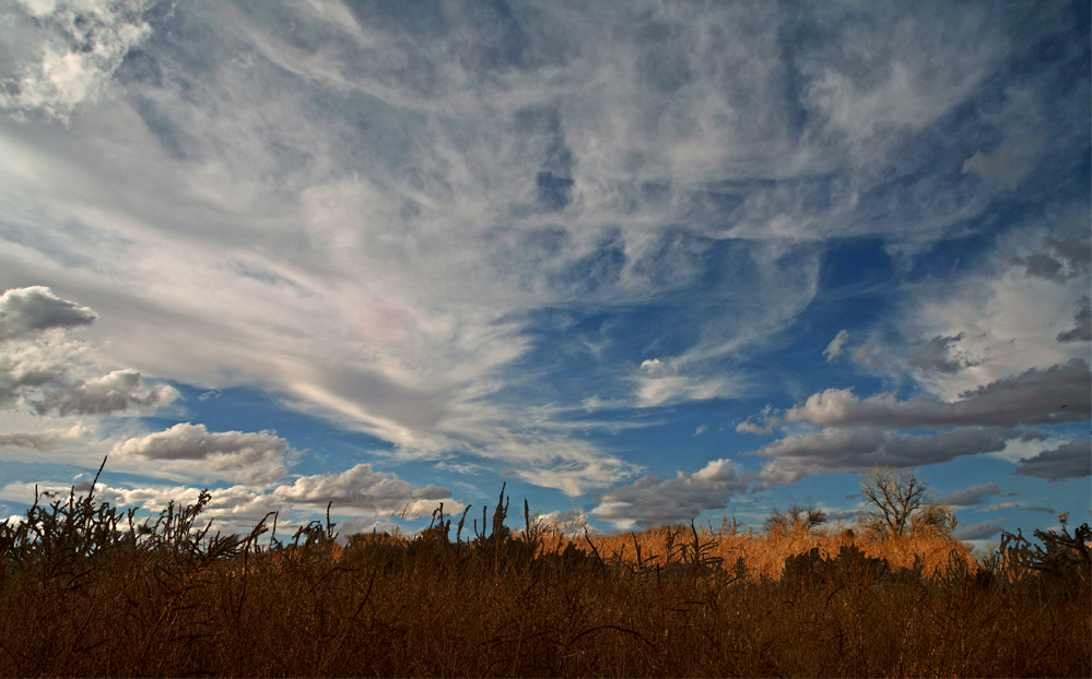 Open Sky