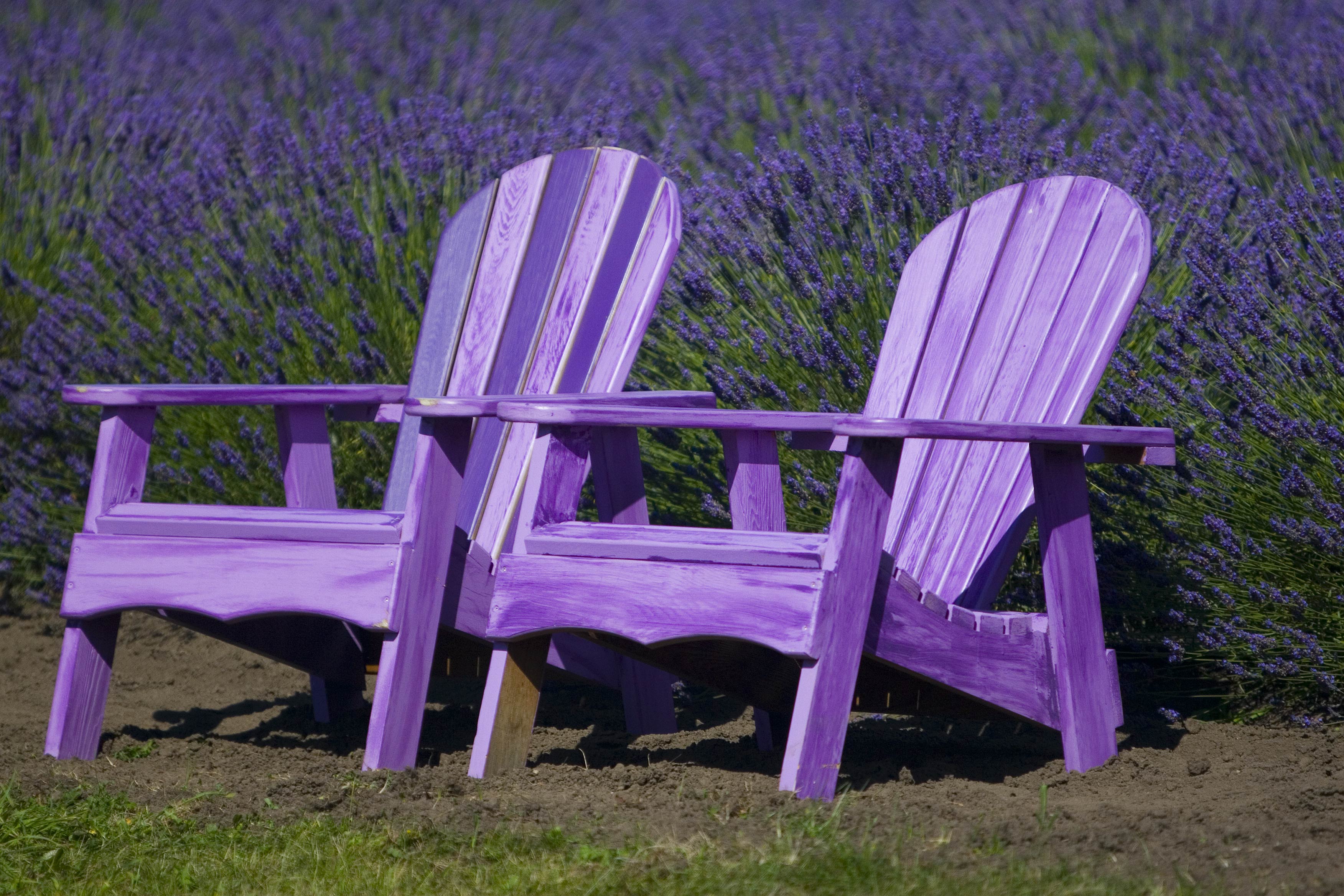 Lovely chairs