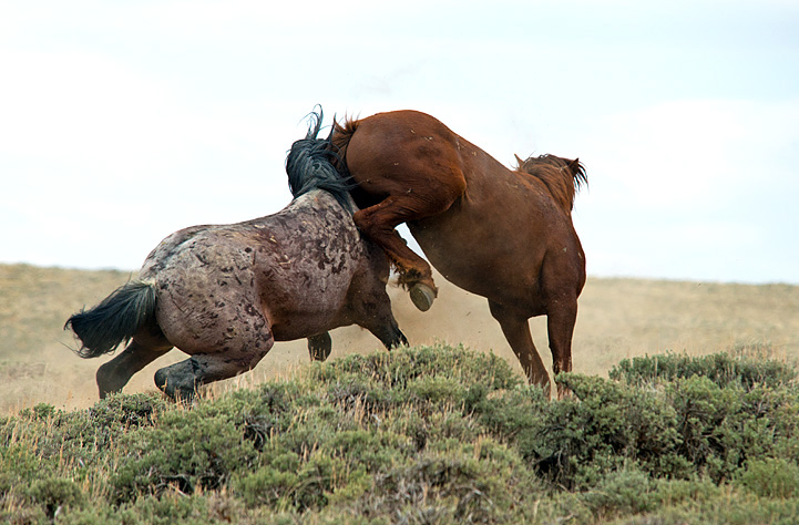 DSC_0600.web..jpg