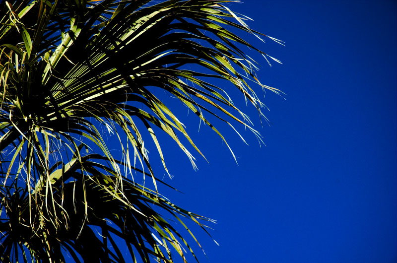 20070704 / burst