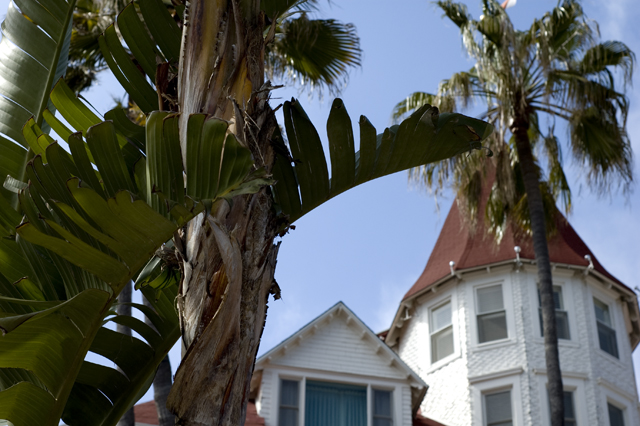 Palmview